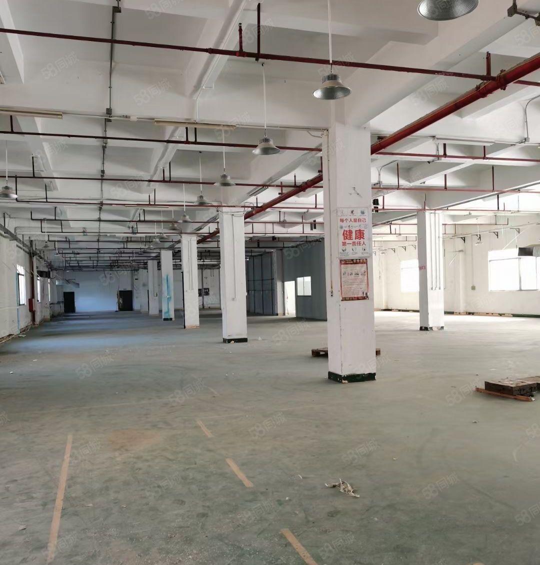 常平独门独院厂房5200平招租宿舍1600平仓库700可分租