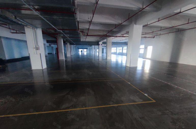 常平高速路口园区厂房出租3000平交通便利水电齐全价格优惠