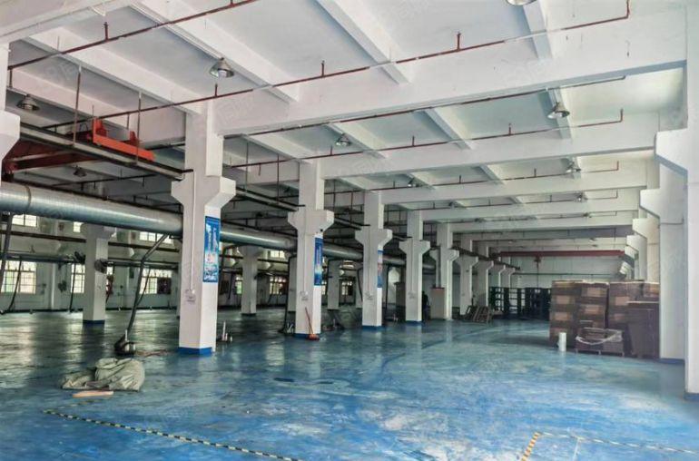 常平原房东独院一楼厂房3300平低价出租，精装修带航车空地大