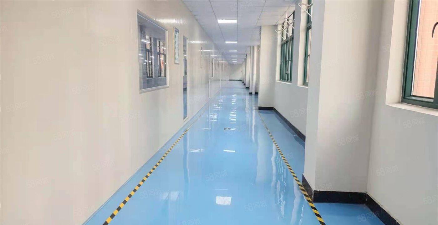 常平新出十万级无尘车间2500平方，直接拎包生产