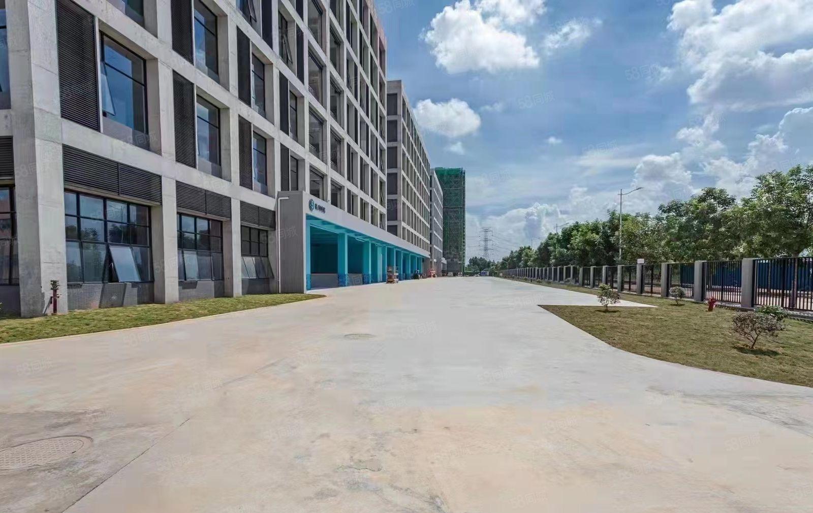 常平全新标准厂房20500平方出租，可分租