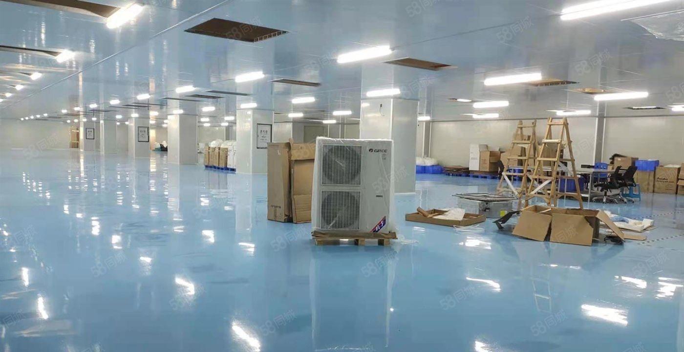 常平新出十万级无尘车间2500平方，直接拎包生产