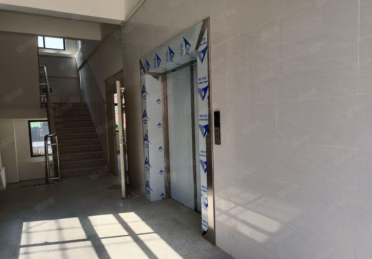 常平袁山贝厂房低价出租独院6000平米外观形象全新交通便利。