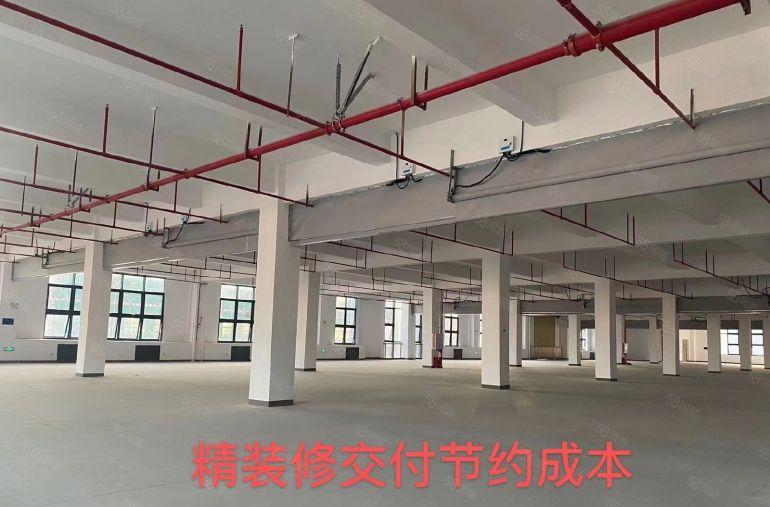 现楼花园式全新一手现代红本厂房，即来即租，价格可谈