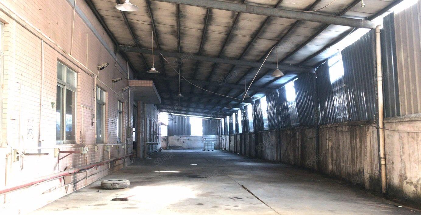 常平独门独院单一层4300平高7米带牛角报价23