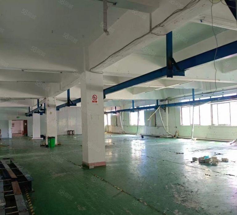 常平桥沥新出原房东独院3000平整租13元可以分租有装修