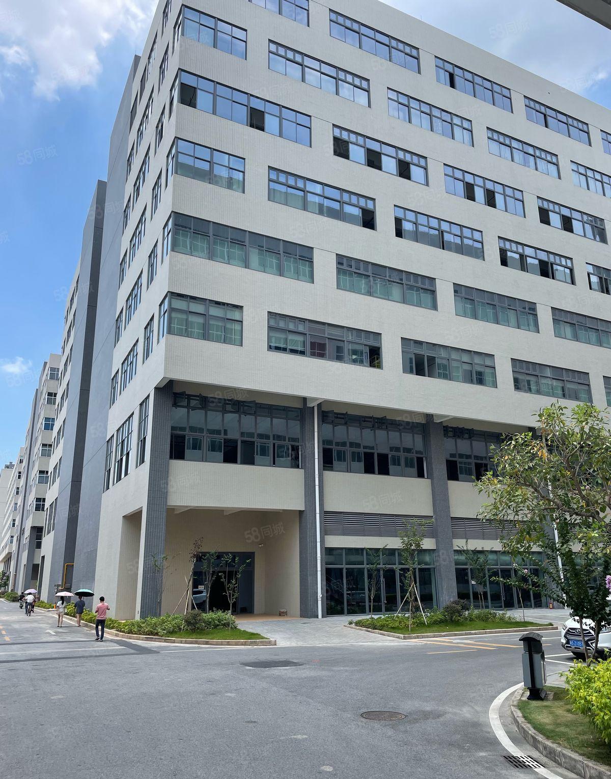 常平业主厂房直租1至8层每层1400平（大小可以分租）