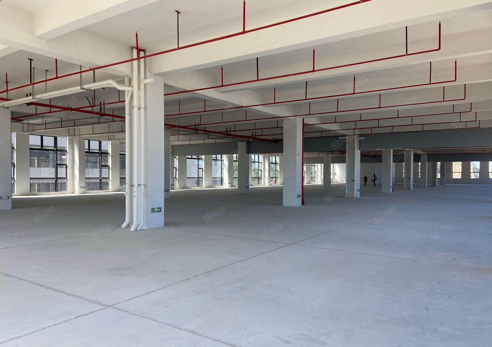 常平原房东红本楼房25000平方，单层面积2500，大小分租