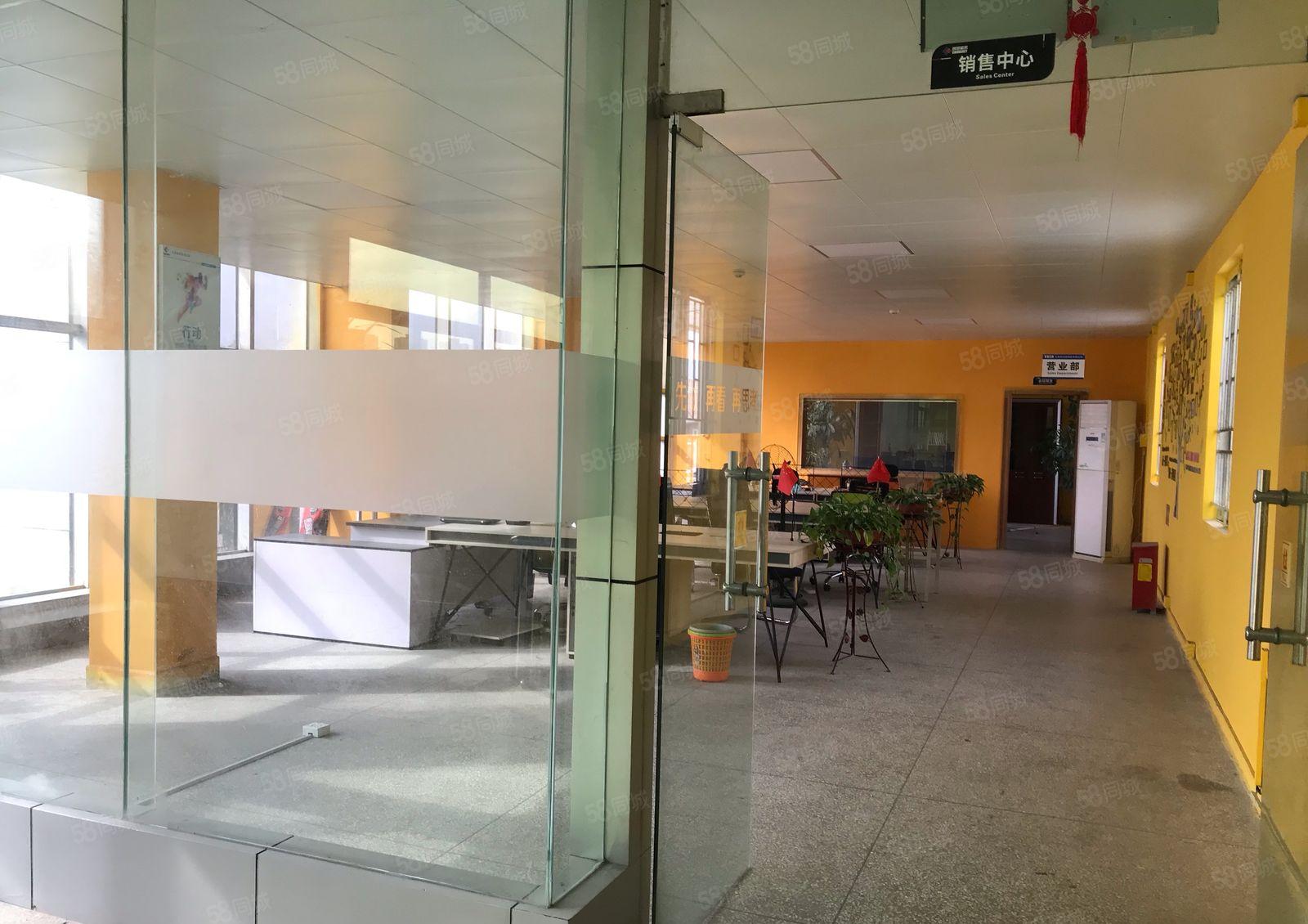 桥沥花园式靓厂房带豪华装修可分租