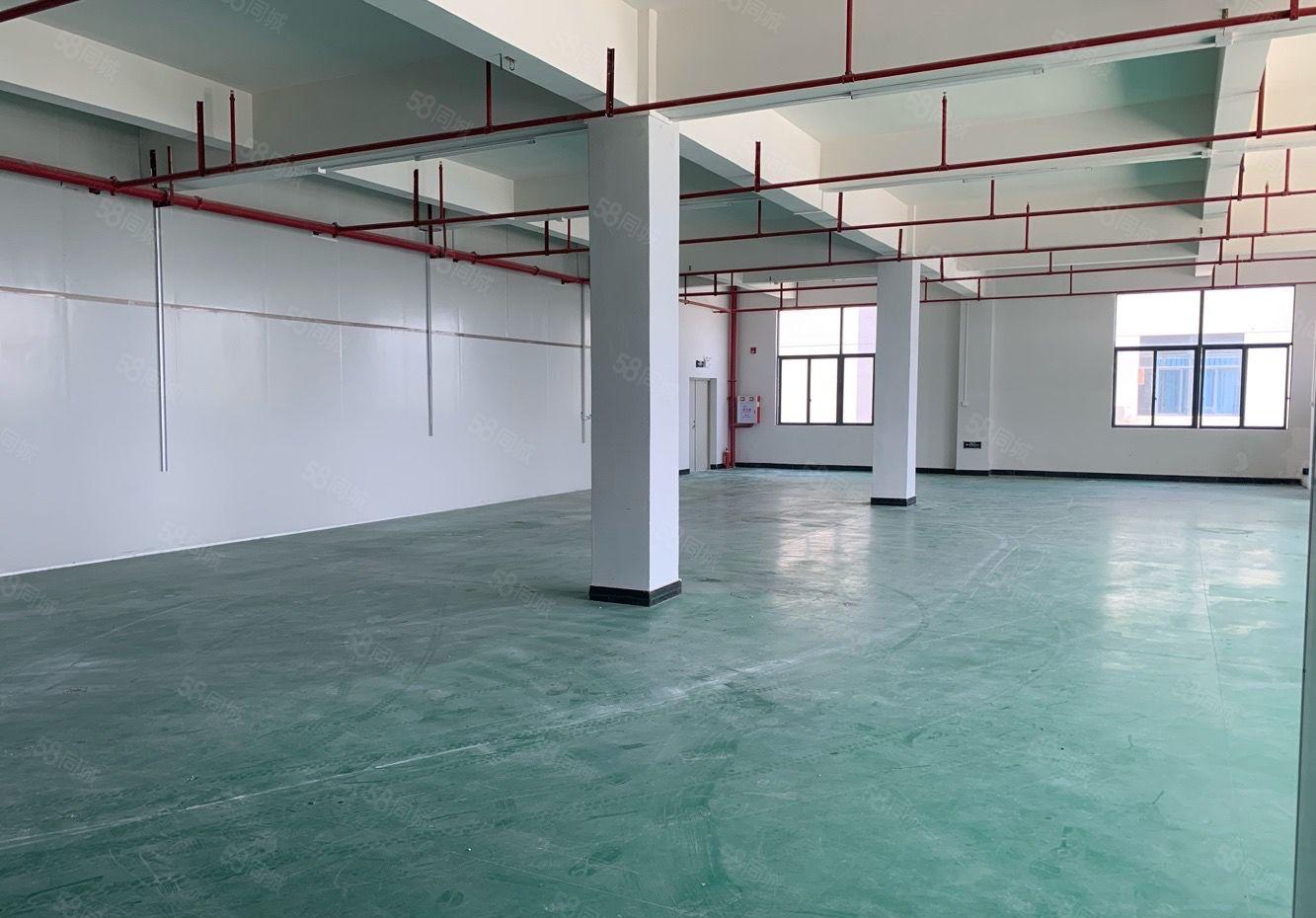 常平镇现成精装修厂房，人流量大，易招工，面积实在，入驻即生产