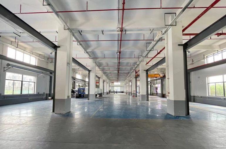 常平镇原房东独院标准带装修厂房出租