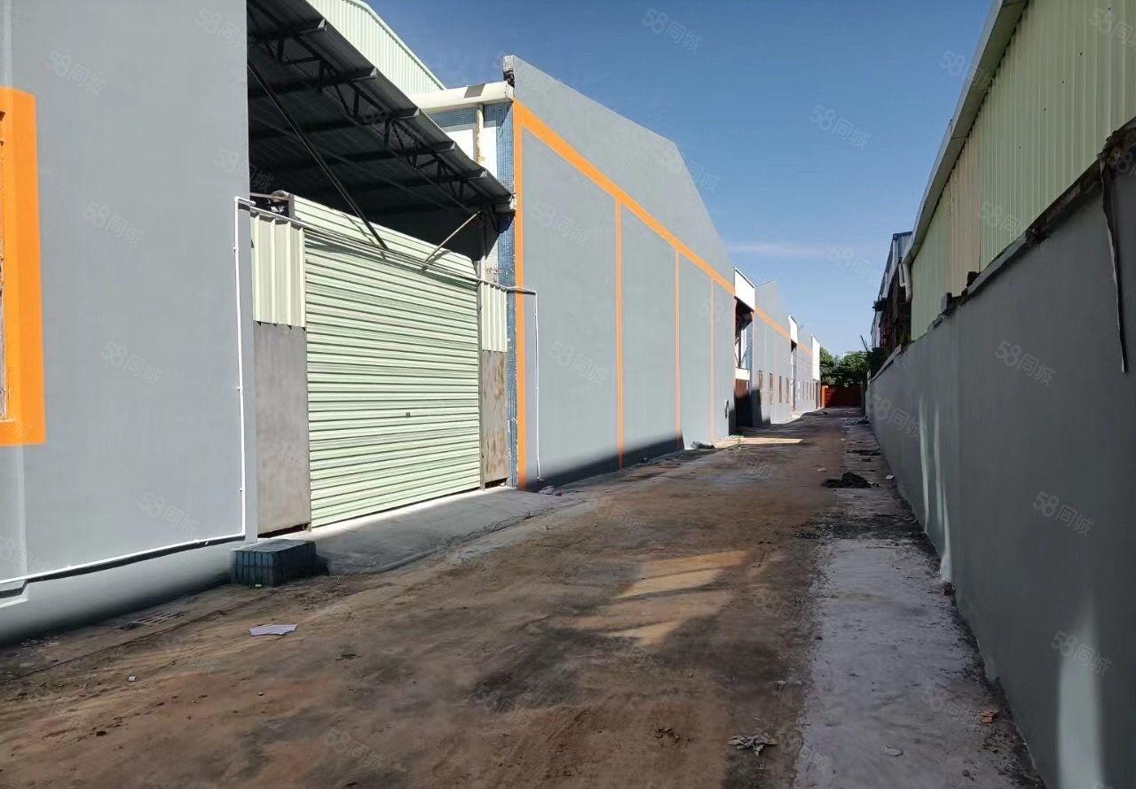 常平司马独门独院钢构厂房出租