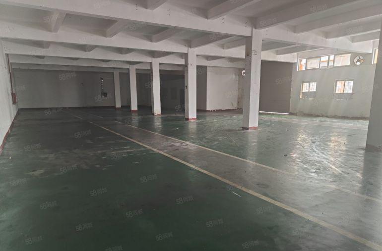 常平标准厂房一楼600平方！形象好，空地大！