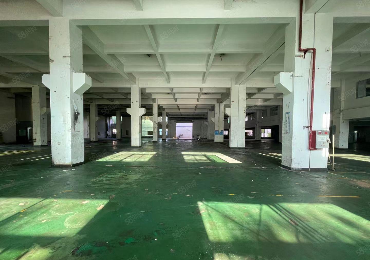 东坑镇小面积标准厂房出租，有消防喷淋，工业用地，可办环评