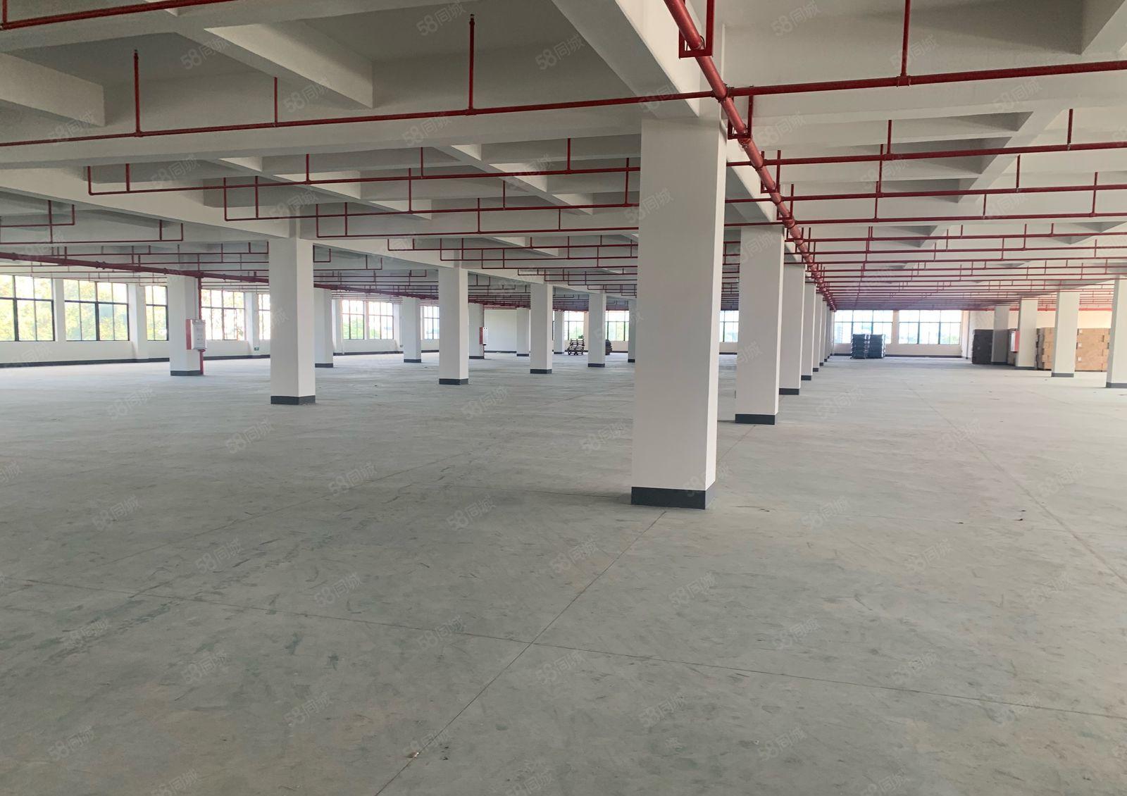 常平新建1000平标准厂房低价出租