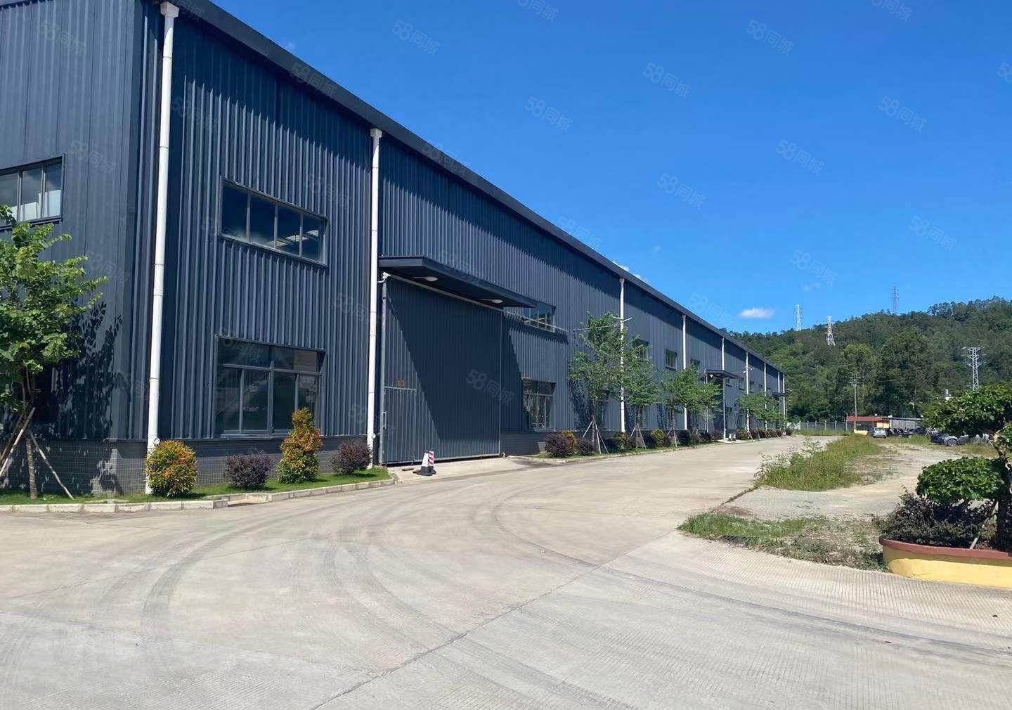 常平桥沥原房东钢结构独栋2800平滴水10米带五吨行车免费使