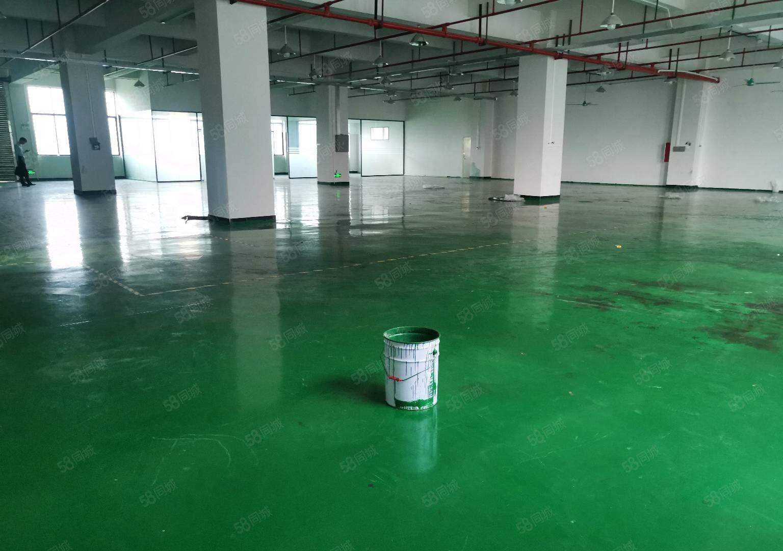 常平镇新出楼上全新厂房，精装修，300平方起租。