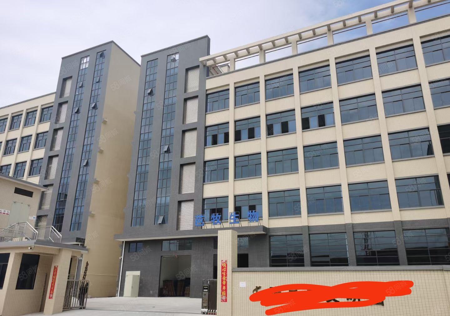 常平镇出原房东独院全新厂房玻璃外观形象漂亮，价格便宜出租