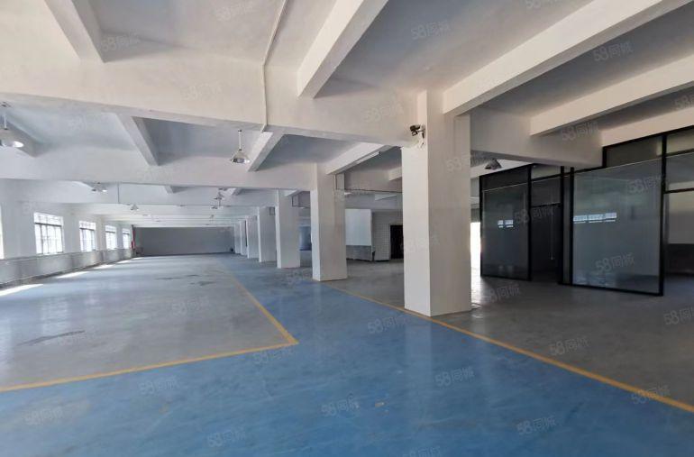 常平原房东花园式厂房18000平，大小可分租抄底价出租