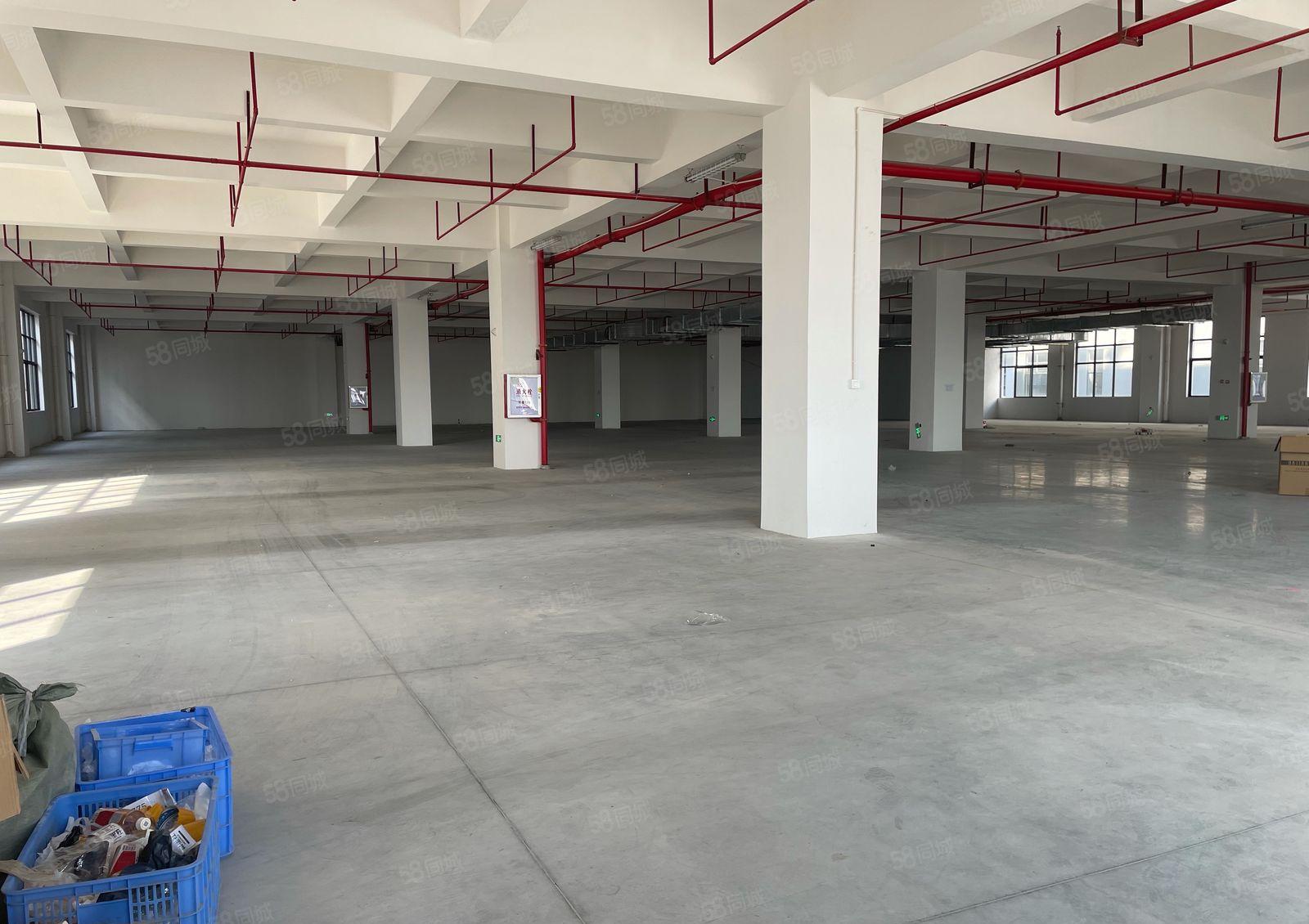 常平镇近高速科技园单层面积2100平剩两层4200平一二楼