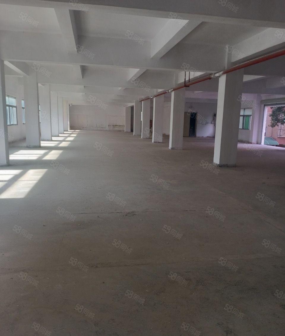 常平京九附近厂房分租单层面积500平和1000平可以分租