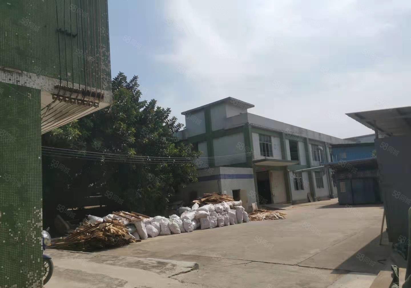 （实图）桥沥原房东独院4500平可办环评工业用地消防验收合格