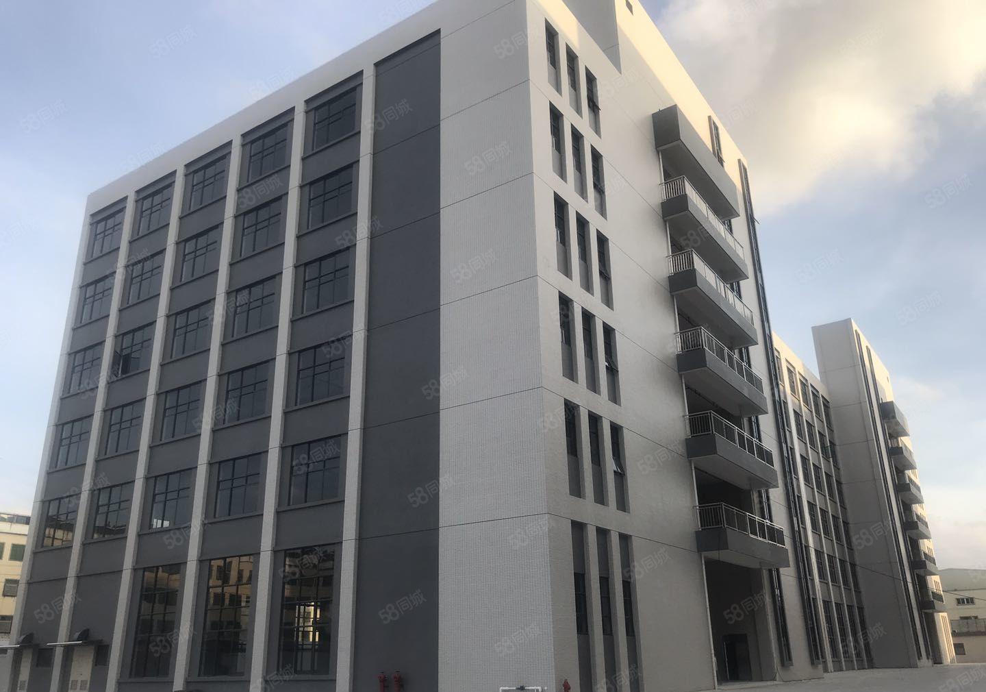 常平带现成装修厂房低价出租5001500平无转让费工业用地