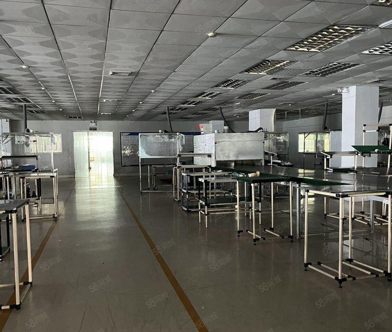 红本独院标准厂房含单一层钢结构滴水9米配电4000KVA按需