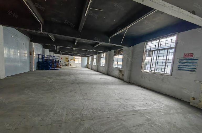 常平一手房东 独门独院带宿舍有红本厂房出租  空地大，可环评