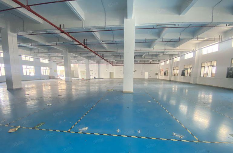 厂房出租  原房东 一楼实际面积   适合注塑五金组装新能源