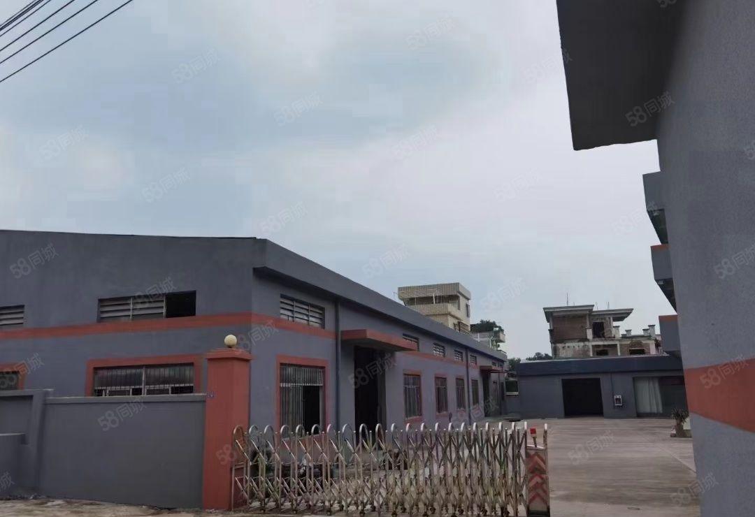 常平大京九塑胶城附近单一层独院3680平方，滴水6米