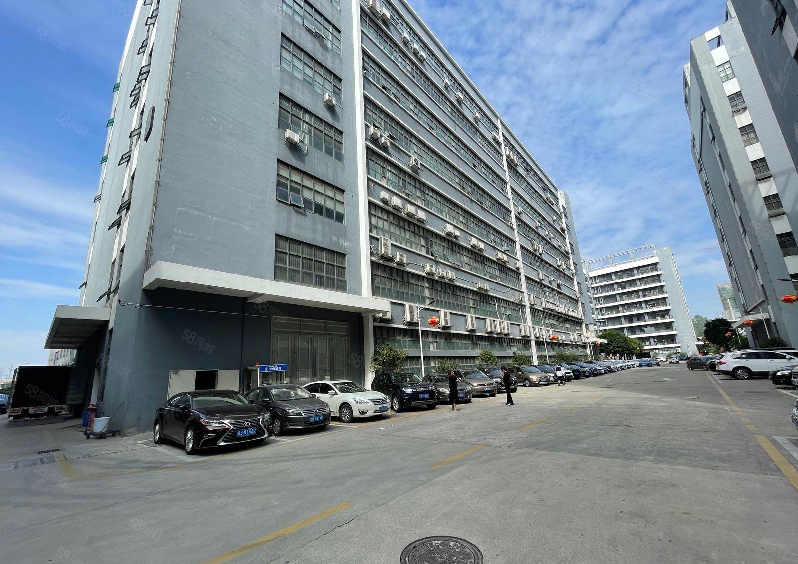 常平工业园二楼800平厂房出租精装修办公室可100平分租，