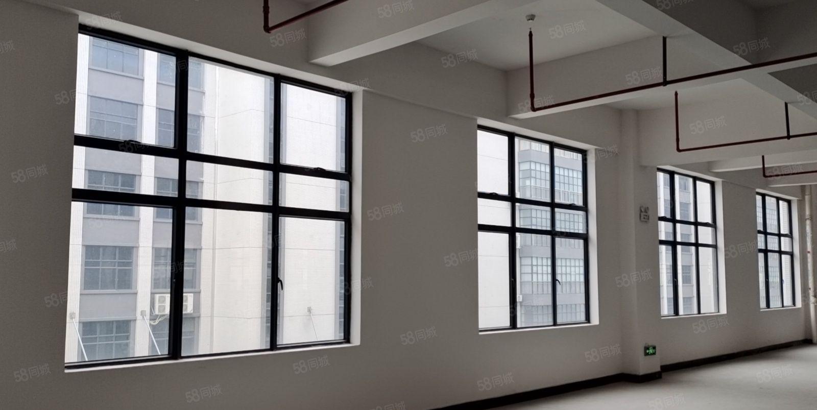 东莞常平镇原房东标准厂房全新30000平方出租，可办环评