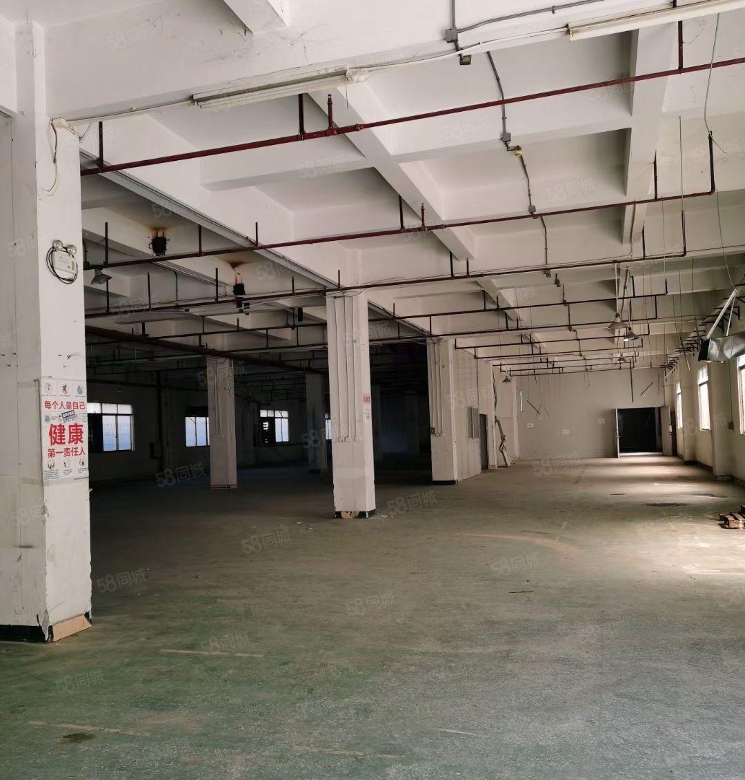 常平独门独院厂房5200平招租宿舍1600平仓库700可分租