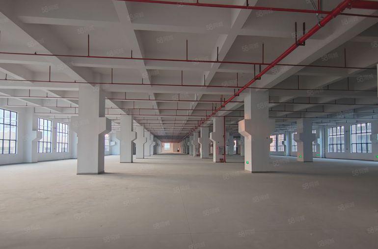 常平镇原房东标准楼上6400平方厂房出租，形象超好，价格便宜