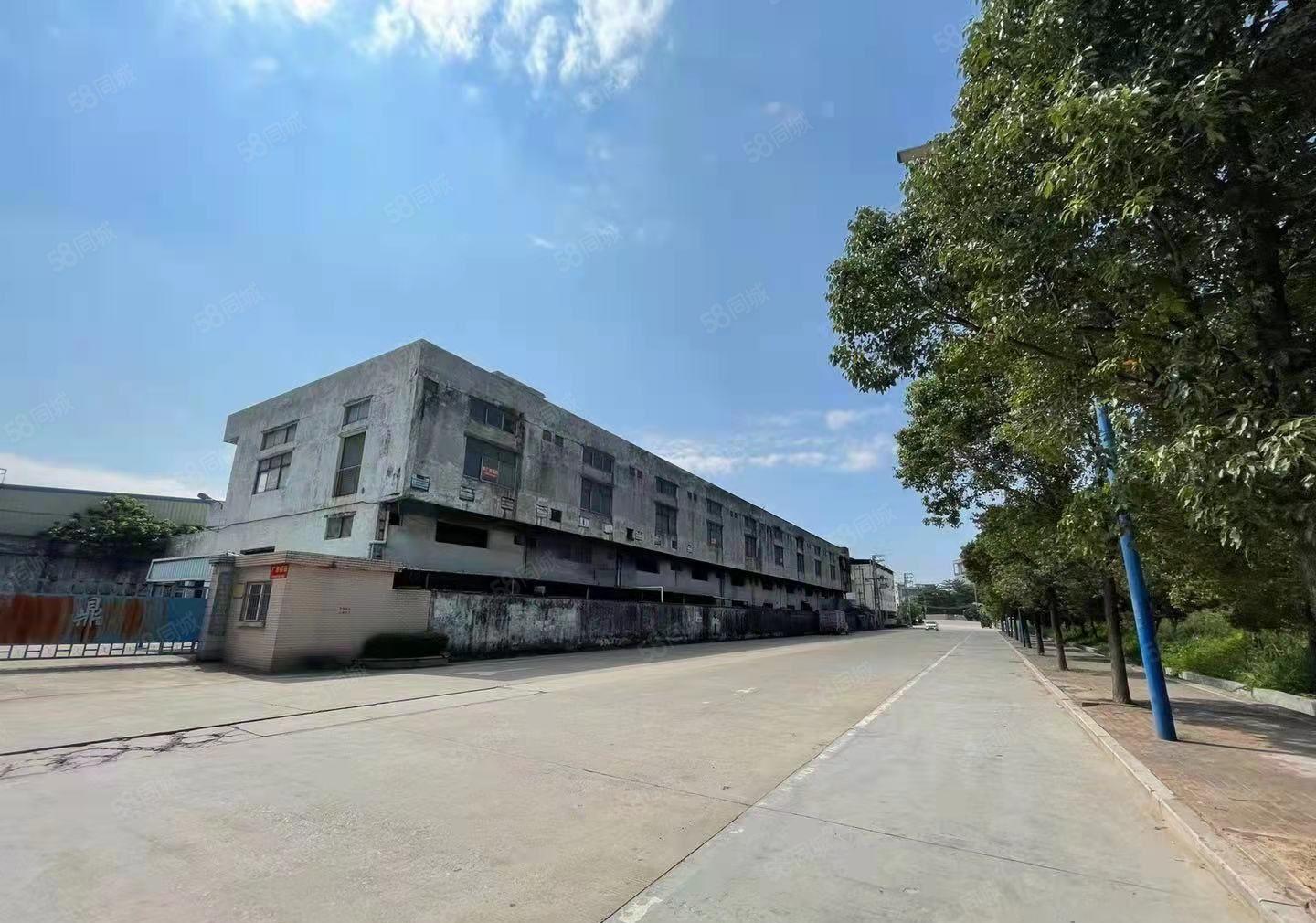 常平靓两层独院厂房一手房东出租无中间差价可办环评