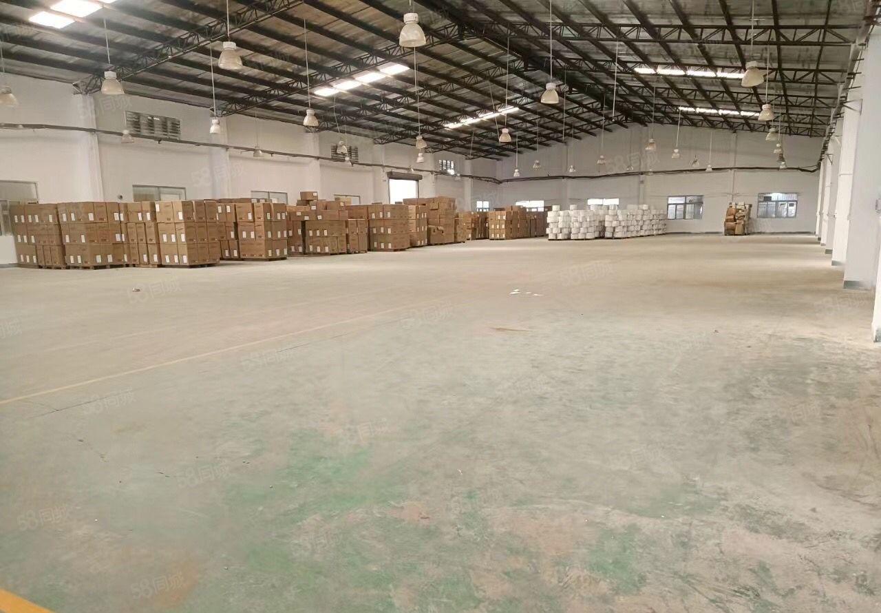 常平司马独门独院钢构厂房出租