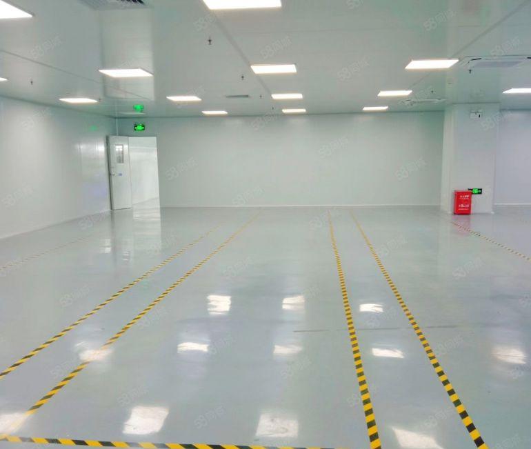 常平无尘车间低价厂房分租楼上1000平方适合手机屏电子模切等