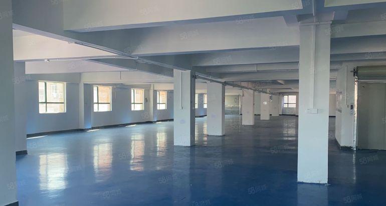 常平楼上新出洁净车间800平带现成办公室低价出租