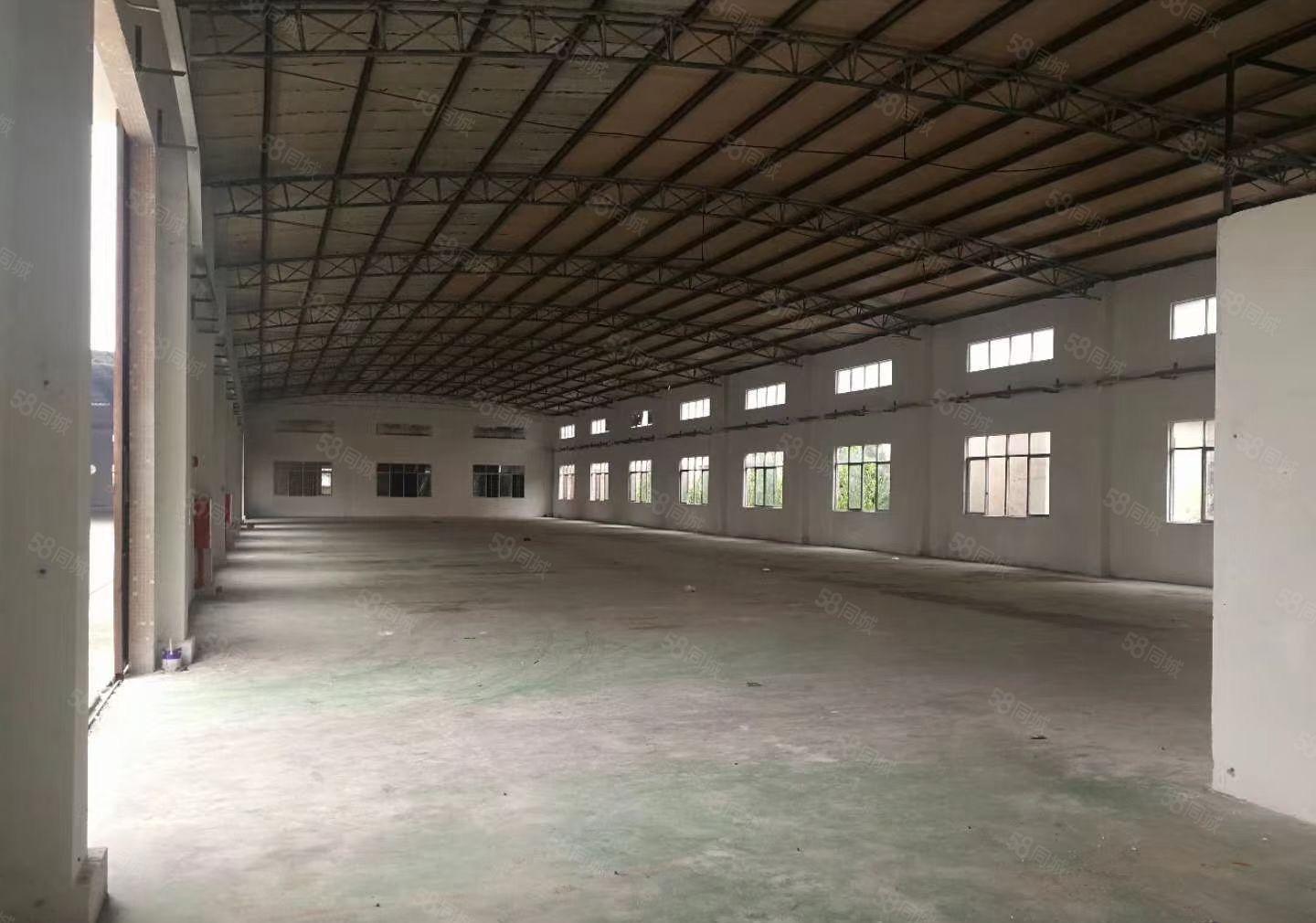 常平槊胶城旁独园钢钩2200平可以分租行业不限价格实惠