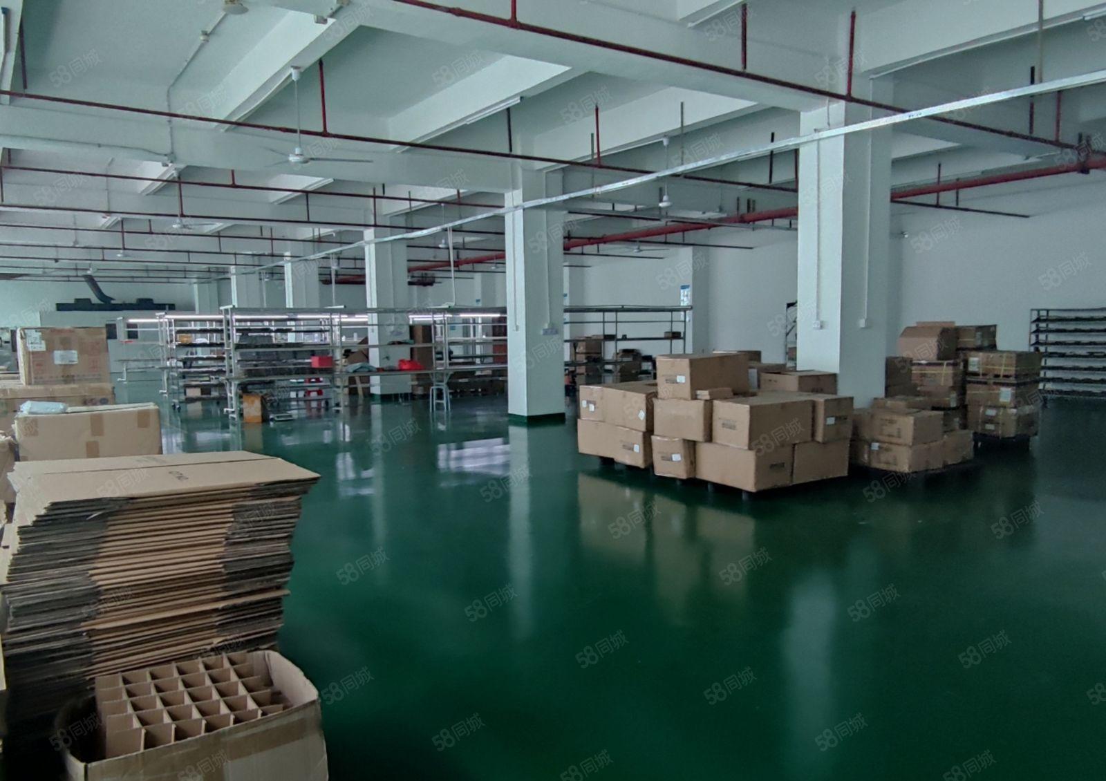 常平镇沙湖口工业园新出二楼4200平方出租500起分