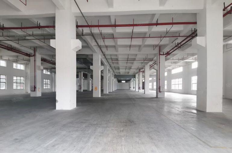 常平8米高一楼带牛角5000平方，可分租，园区空地大