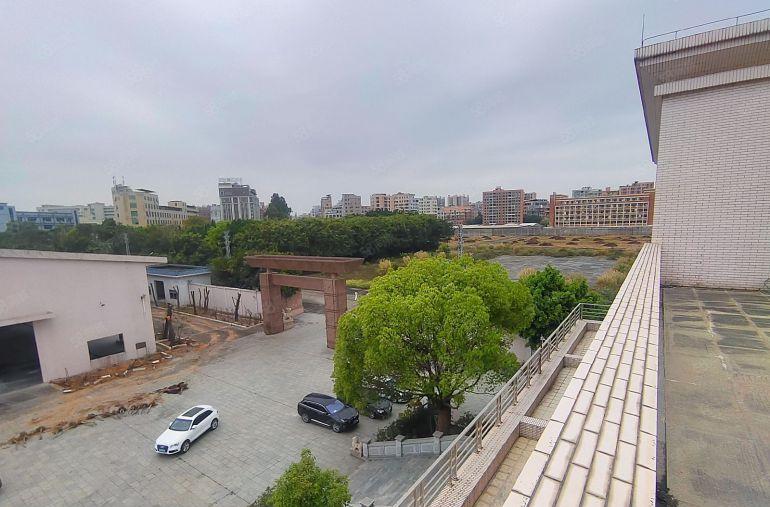 12米！高标库单一层独院厂房，门口空地6500平方。