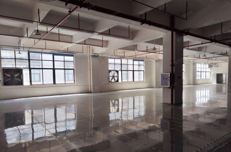 常平原房东楼上水电齐全全新环氧地坪漆实际面积出租有卸货平台