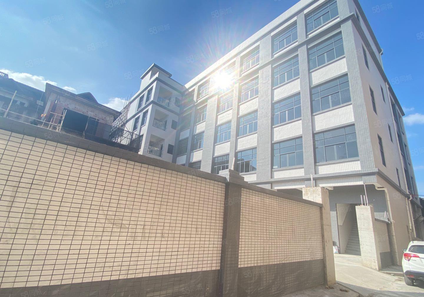 常平全新标准独院一楼6米高租金优惠5600平方可分租