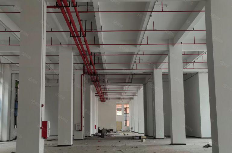 常平镇独院标准13000平方厂房出租，空地大环境好，价格便宜