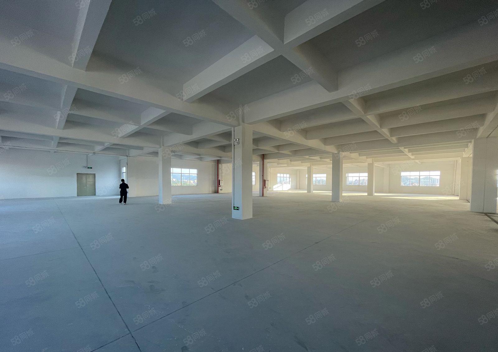 常平镇高速路口全新标准厂房招租