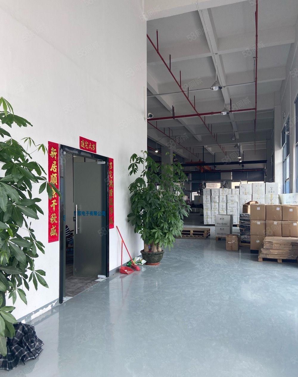 独院标准厂房一楼1300平方层高6米，水电线路办公室装修齐全