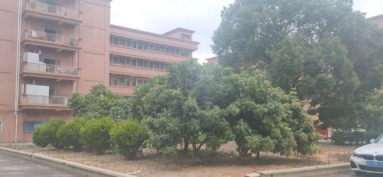 实业老板用不完分租一栋1500平方，实际面积出租，花园式厂房