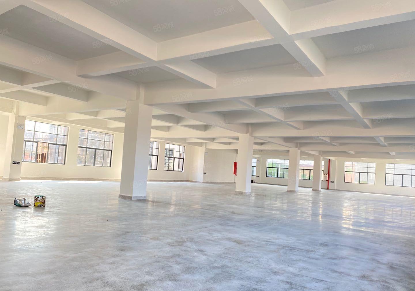 靓盘来袭常平苏坑高端花园别墅式厂房现招商正火热进行中